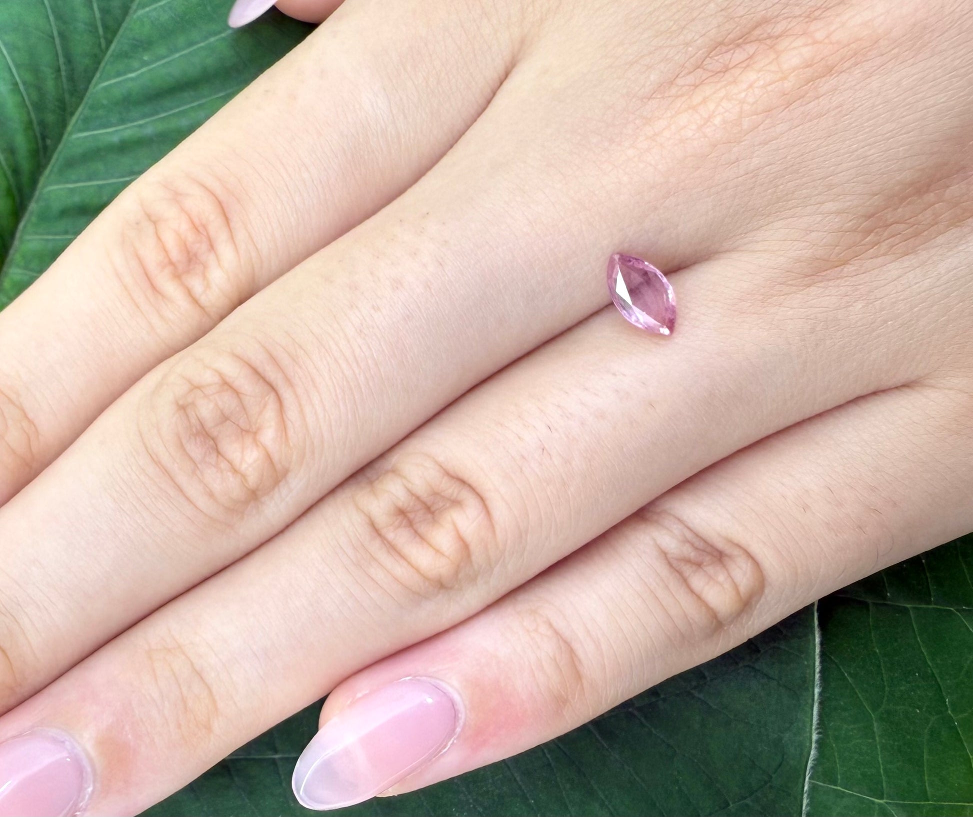 Loose Pale Pink Sapphire gemstone marquise cut