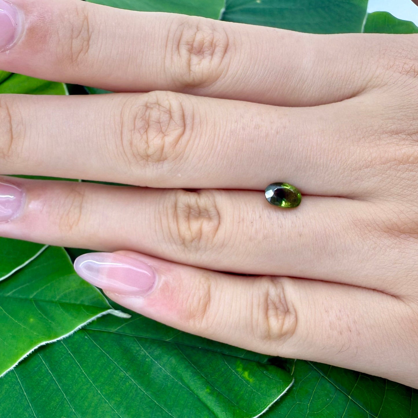 Natural Bi-Color Sapphire gemstone oval cut