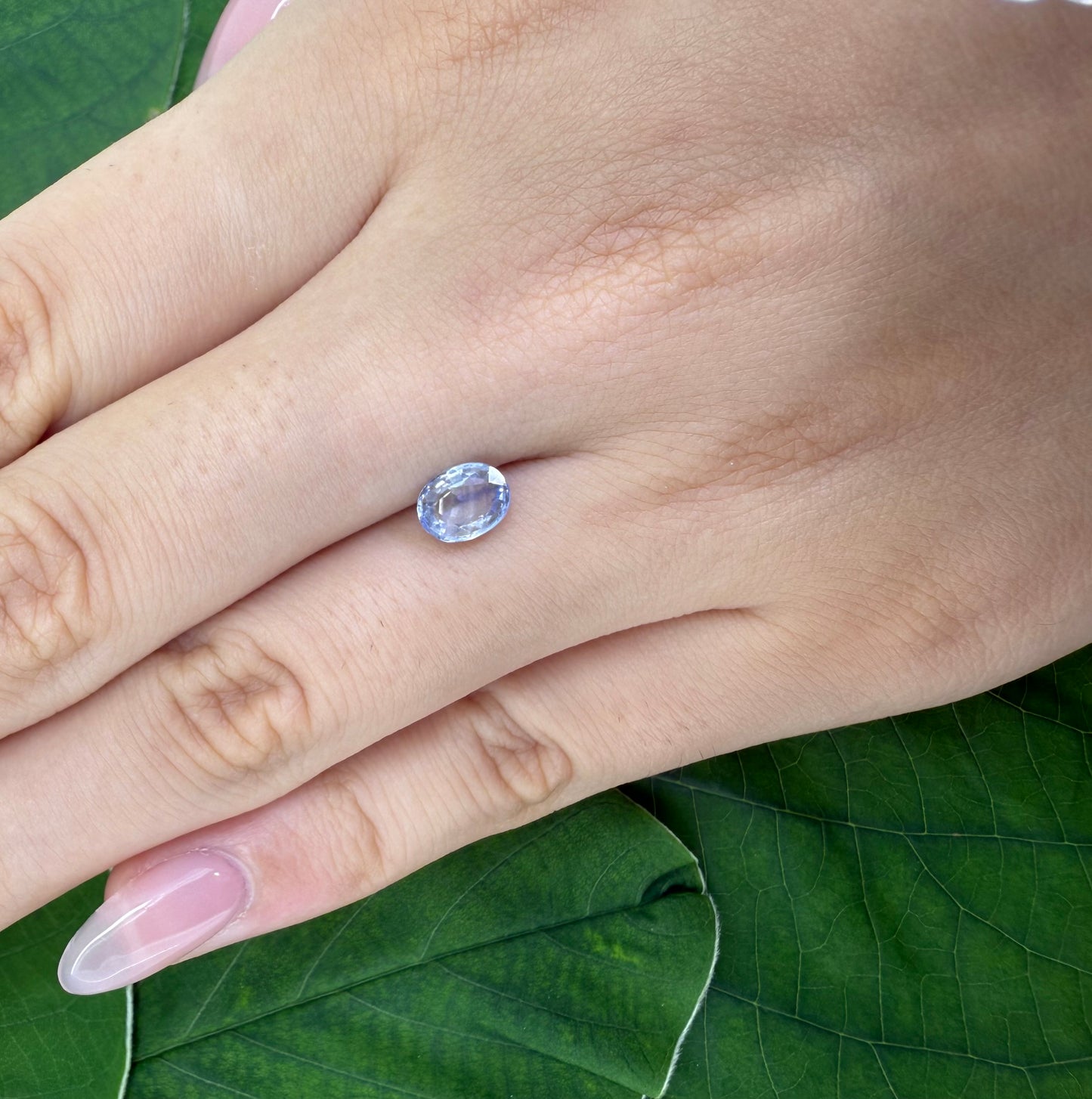 Bi-Color (White Blue) Sapphire Oval 1.12 Ct