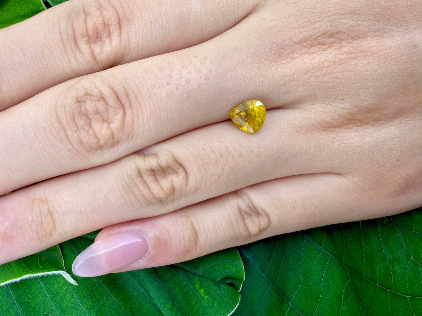 Yellow Sapphire Pear 1.6 Ct