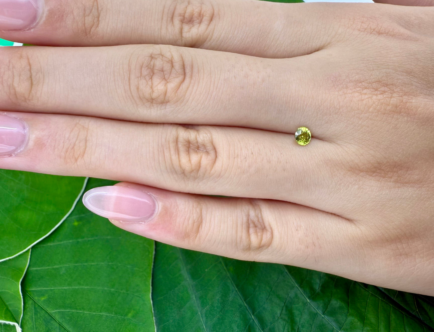 Greenish Yellow Sapphire Round 0,4 Ct