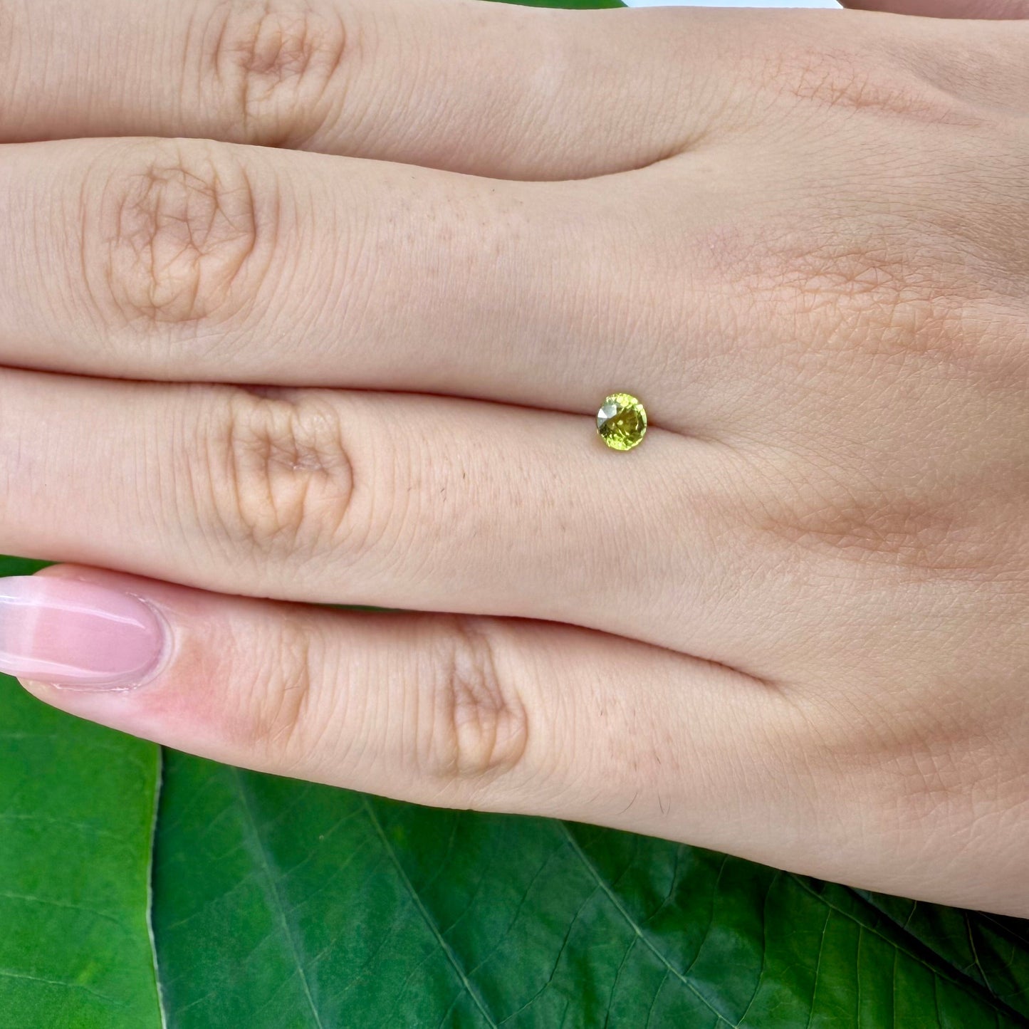 Natural Green Yellow Sapphire gemstone, round cut