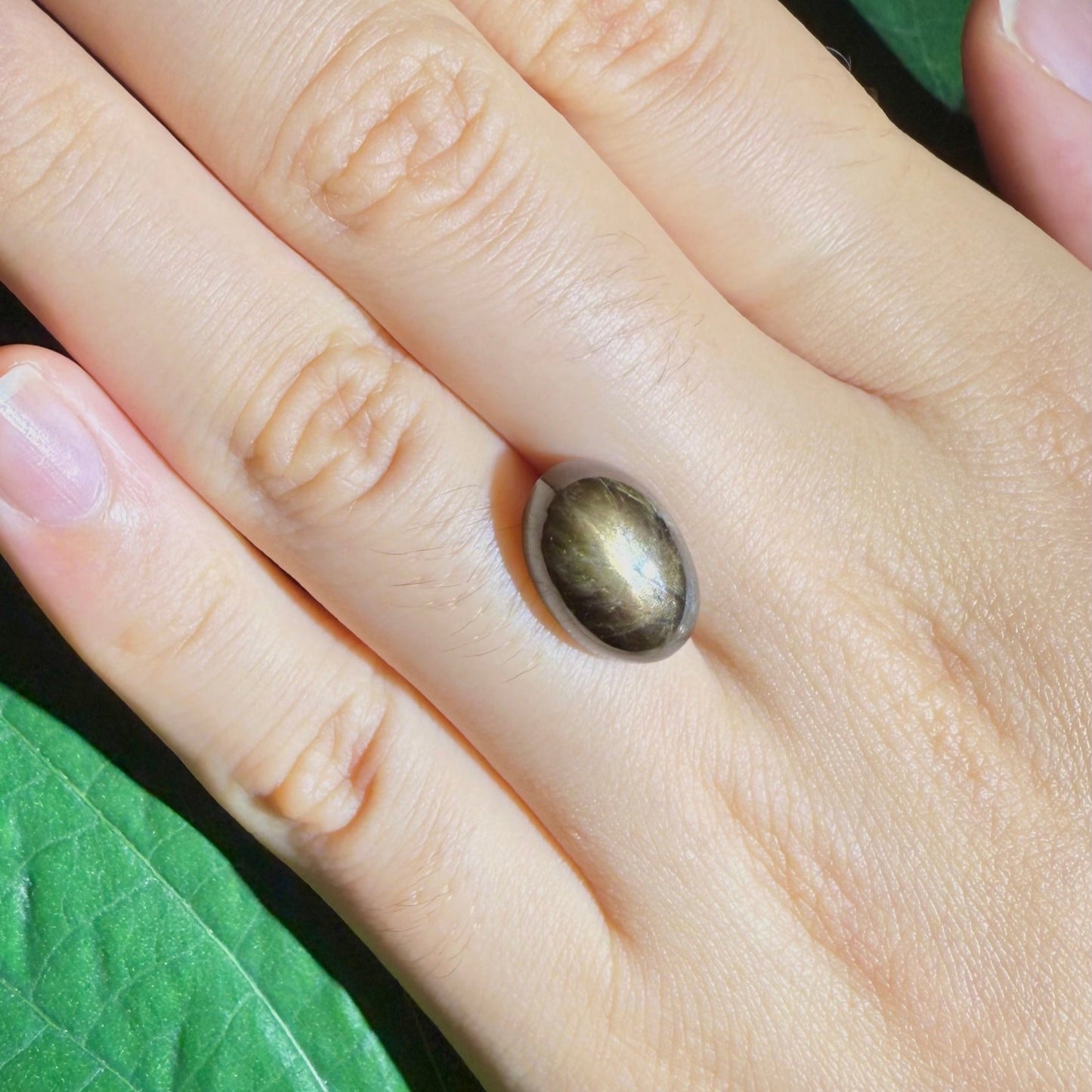 Golden-brown star sapphire cabochon, natural gemstone with subtle asterism