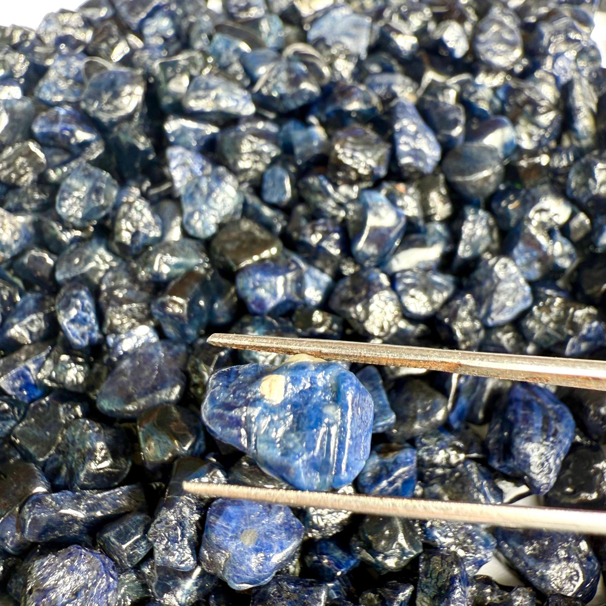Uncut raw Sapphire gems in natural form, unique collector and artisan jewelry material