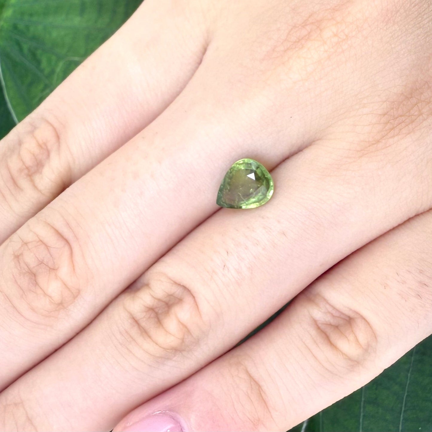 Natural Yellowish Green Tourmaline gemstone, pear cut
