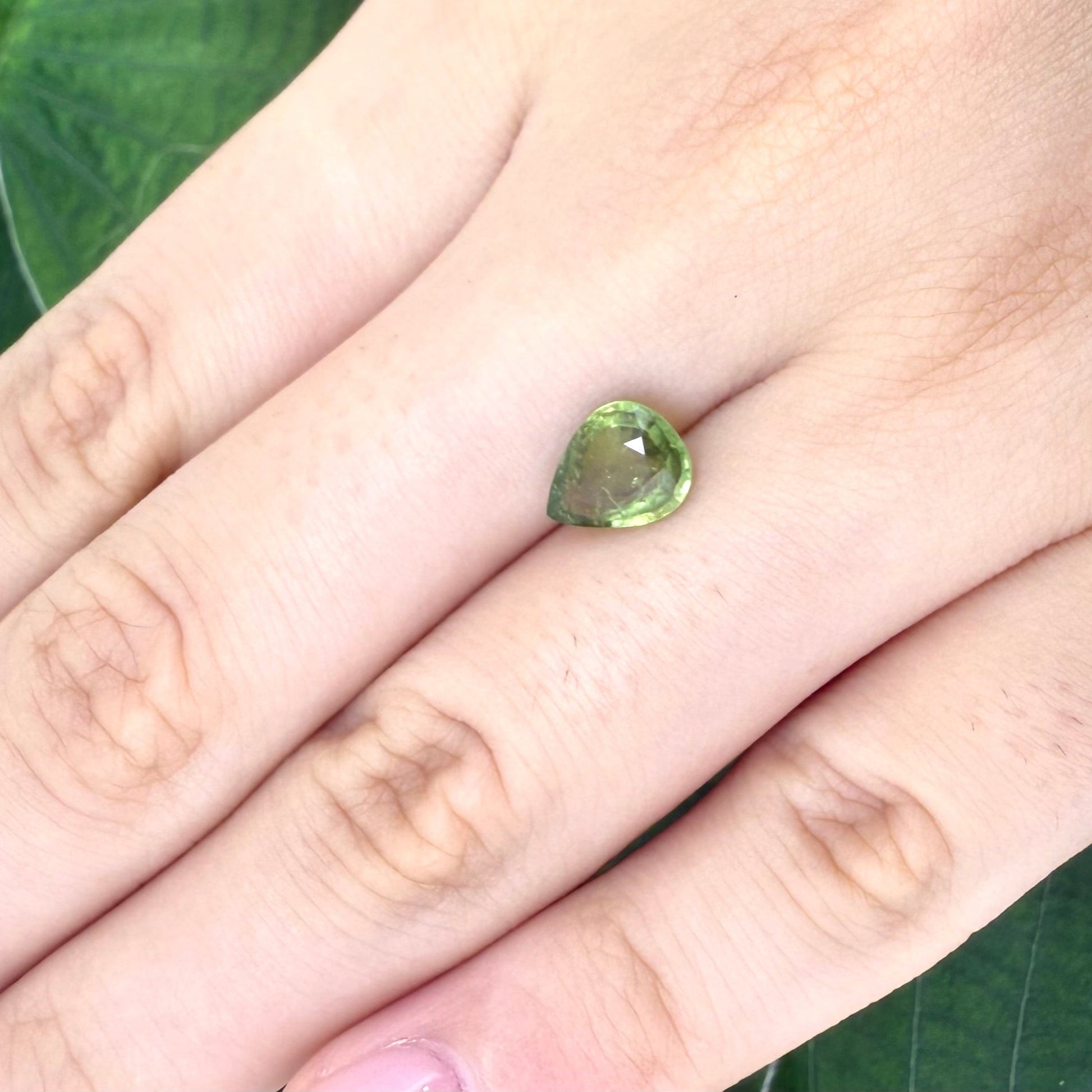 Natural Yellowish Green Tourmaline gemstone, pear cut