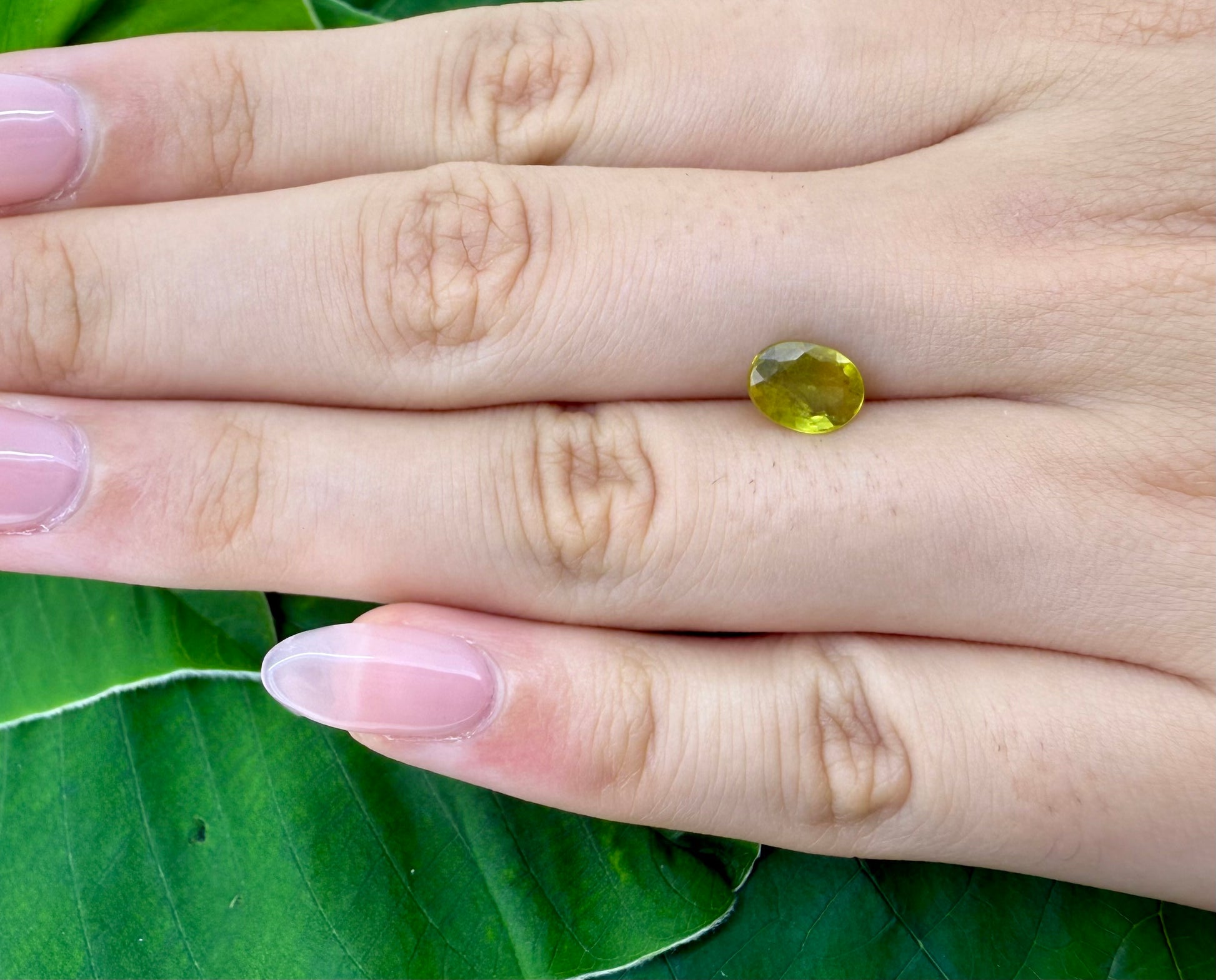 Natural Bi-Color Sapphire gemstone oval cut