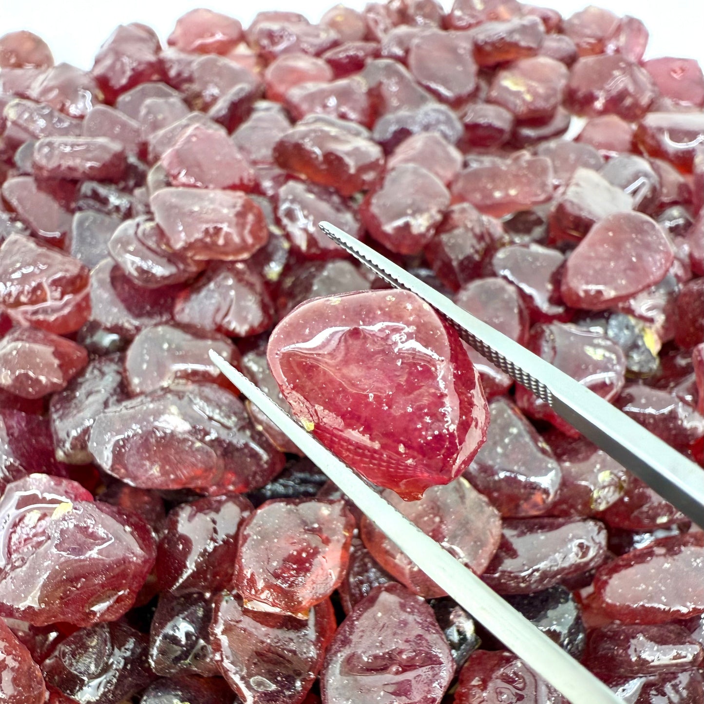 Rubies Rough Lot R2 - starting 250$ per g