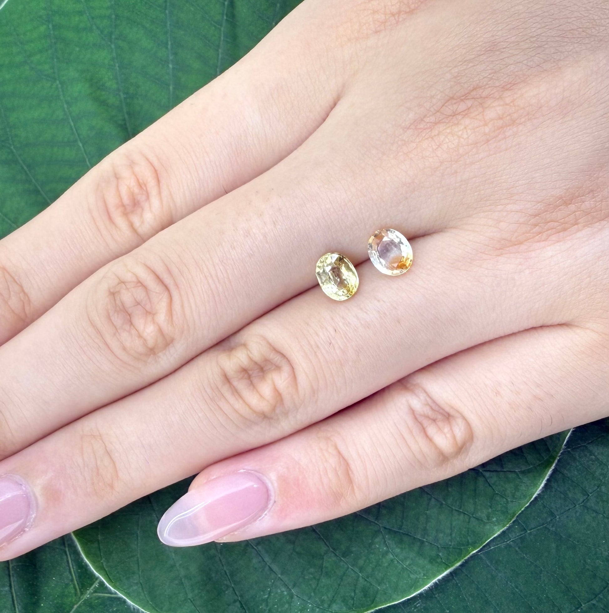 Natural Bi-Color Sapphire gemstone set oval cut
