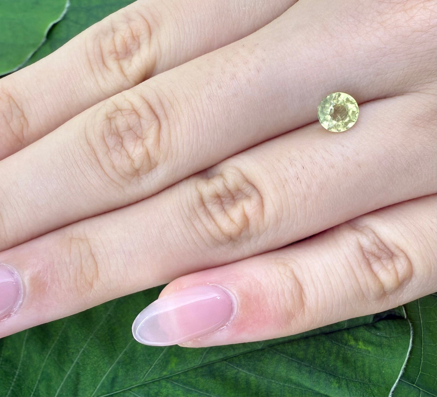 Green-Yellow Prasiolite Round 1.01 Ct