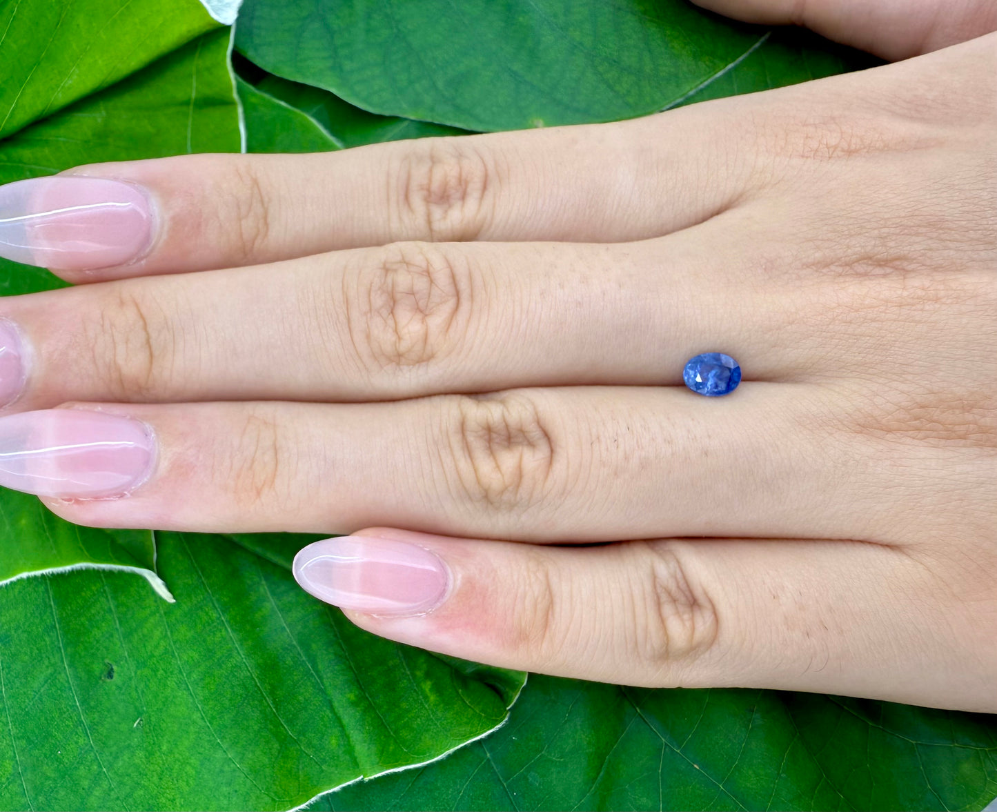 Blue Sapphire Oval 0.67 Ct