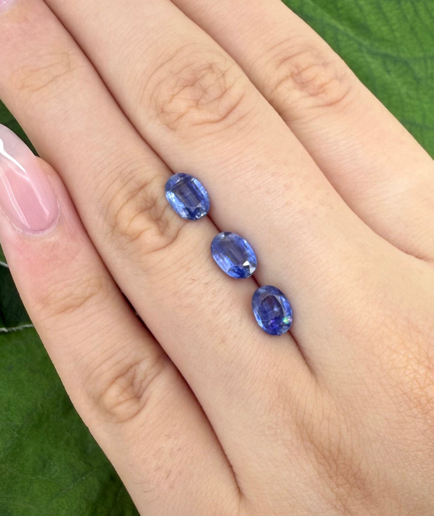 Cornflower Blue Kyanite Oval Set 2.73 Ct