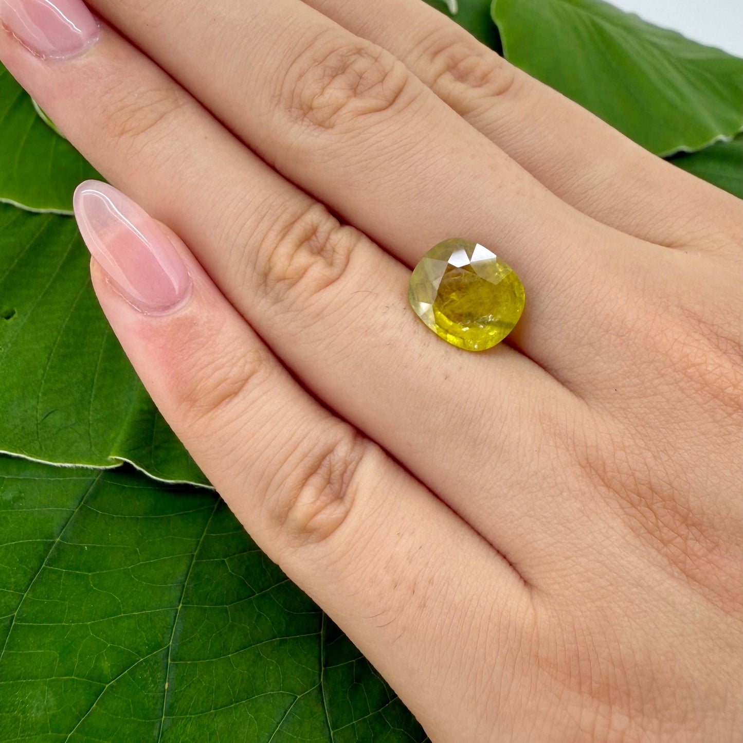 Yellow Sapphire Cushion 4.92 Ct