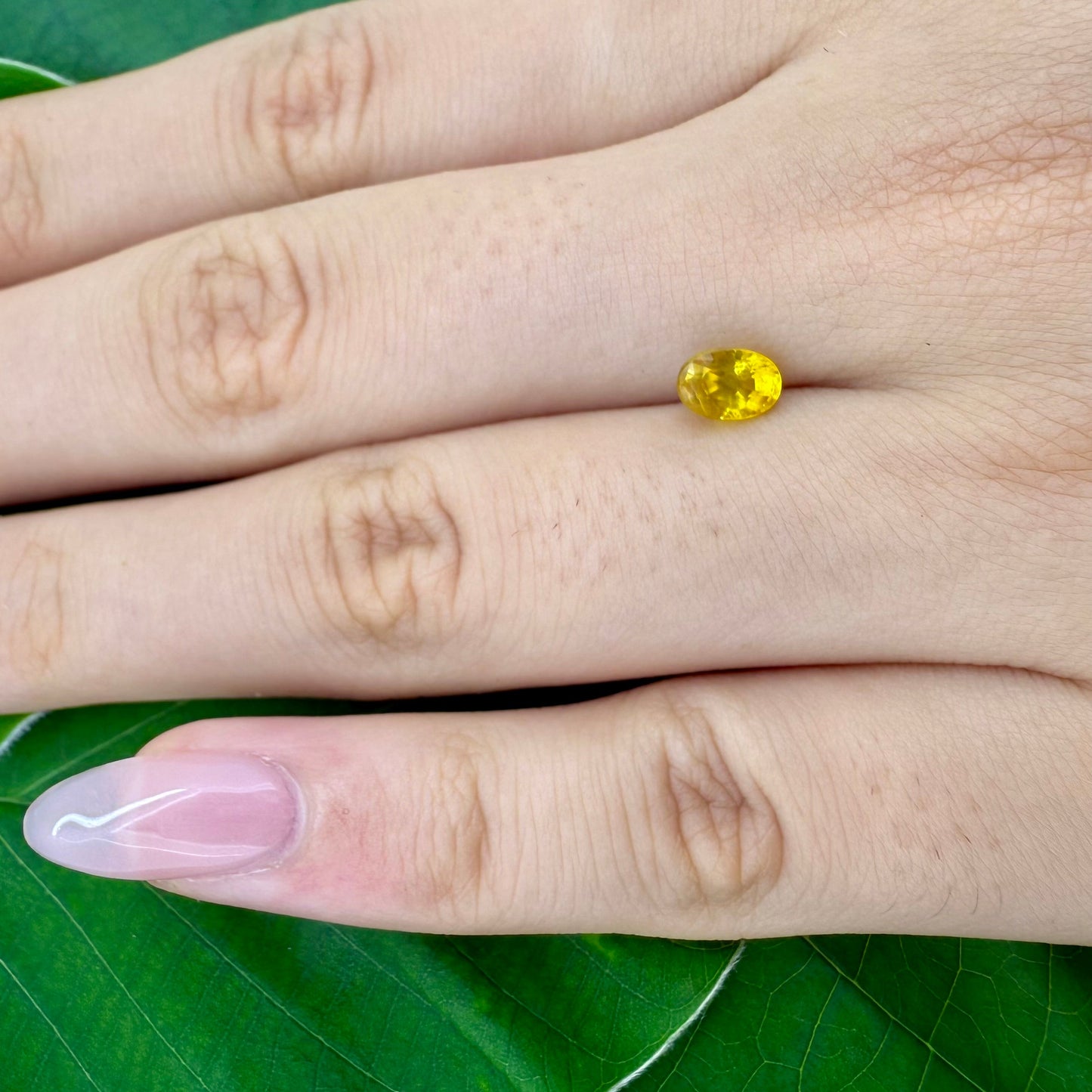 Bi-Color (Yellow Greenish) Sapphire Oval 0.83 Ct