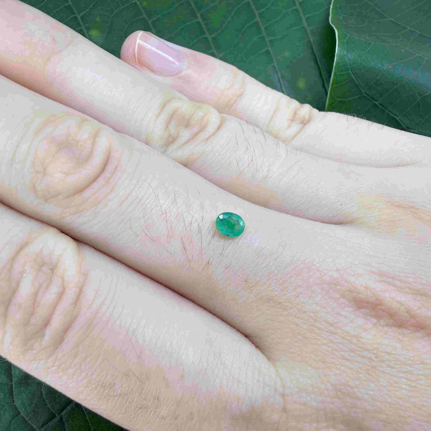 0.2 ct natural untreated Zambian emerald, oval faceted with bright bluish-green color.