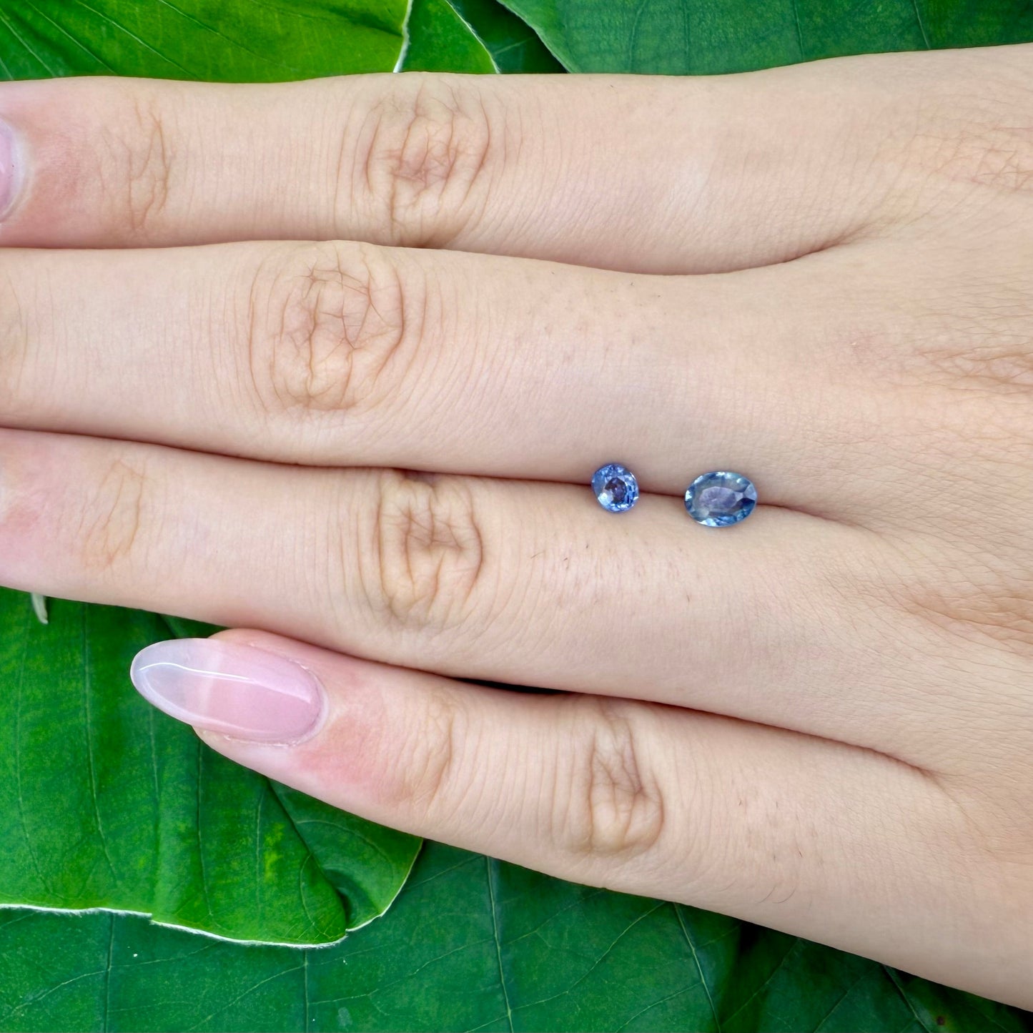 Natural Bi-Color Sapphire gemstone set oval cut