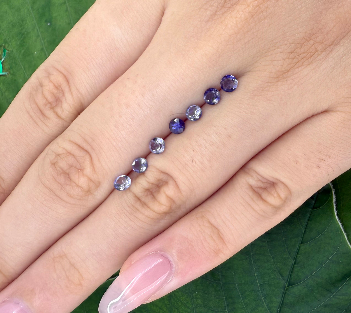 Violet Hues Iolite Lot Round 0.97 Ct