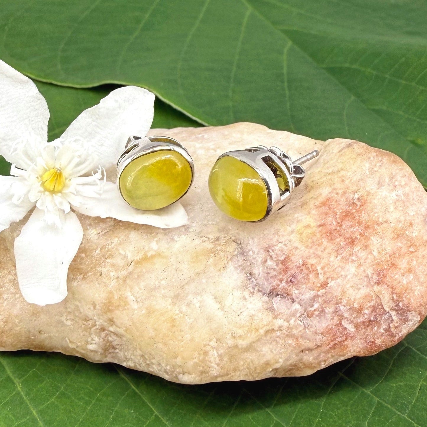Yellow sapphire cabochon stud earrings in white gold plated sterling silver with butterfly backs.