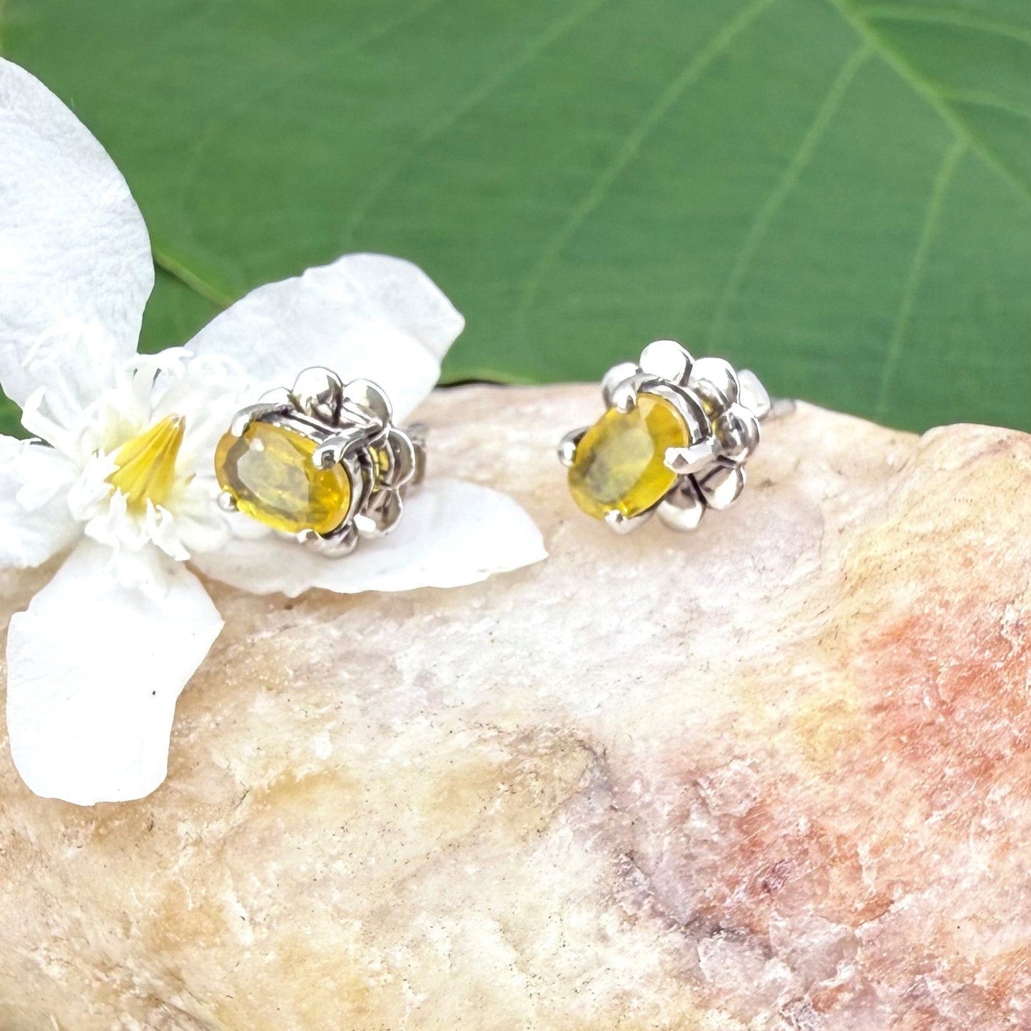 Natural yellow sapphire stud earrings in white gold plated sterling silver with butterfly backs.
