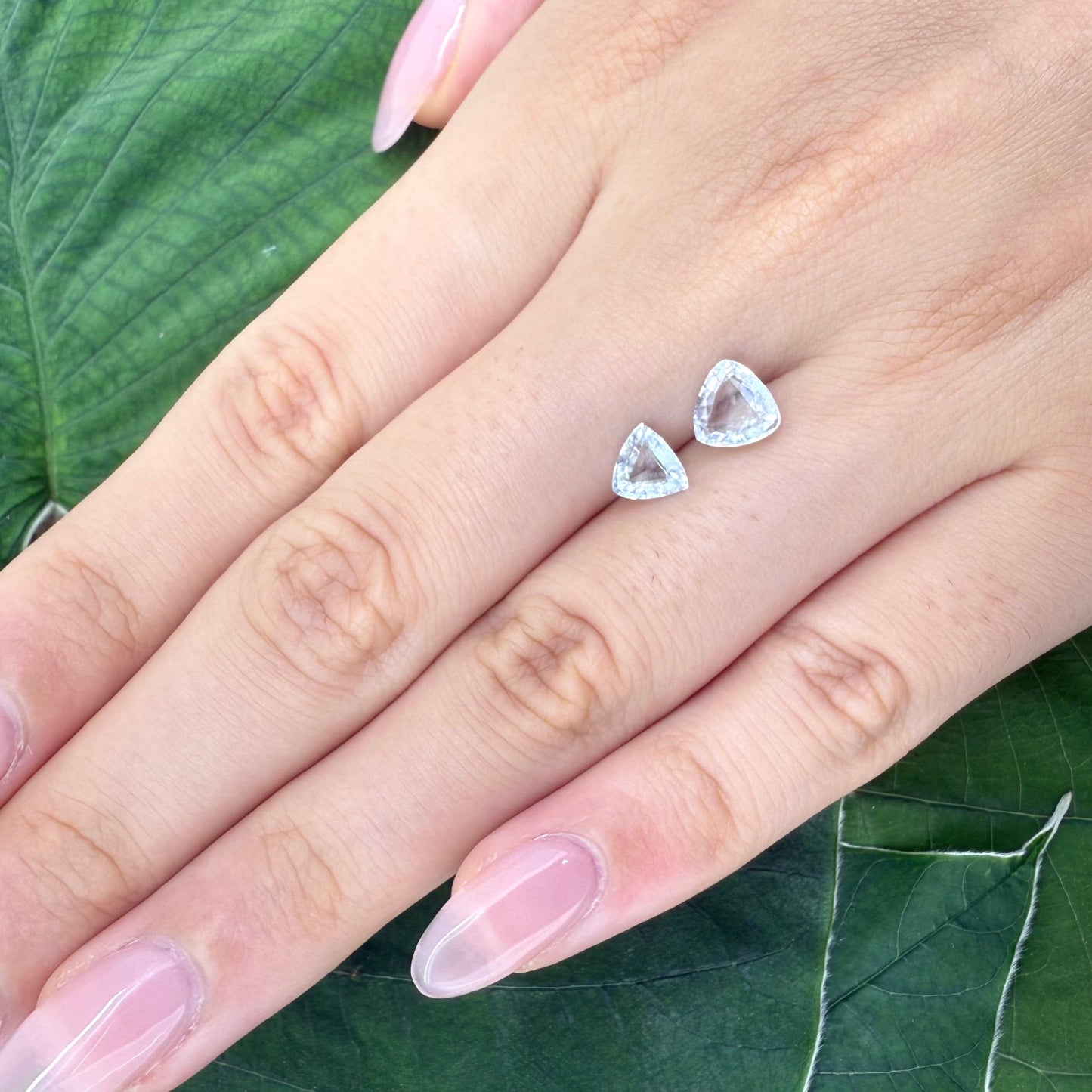 Natural White Blue Aquamarine gemstone set, trillion cut