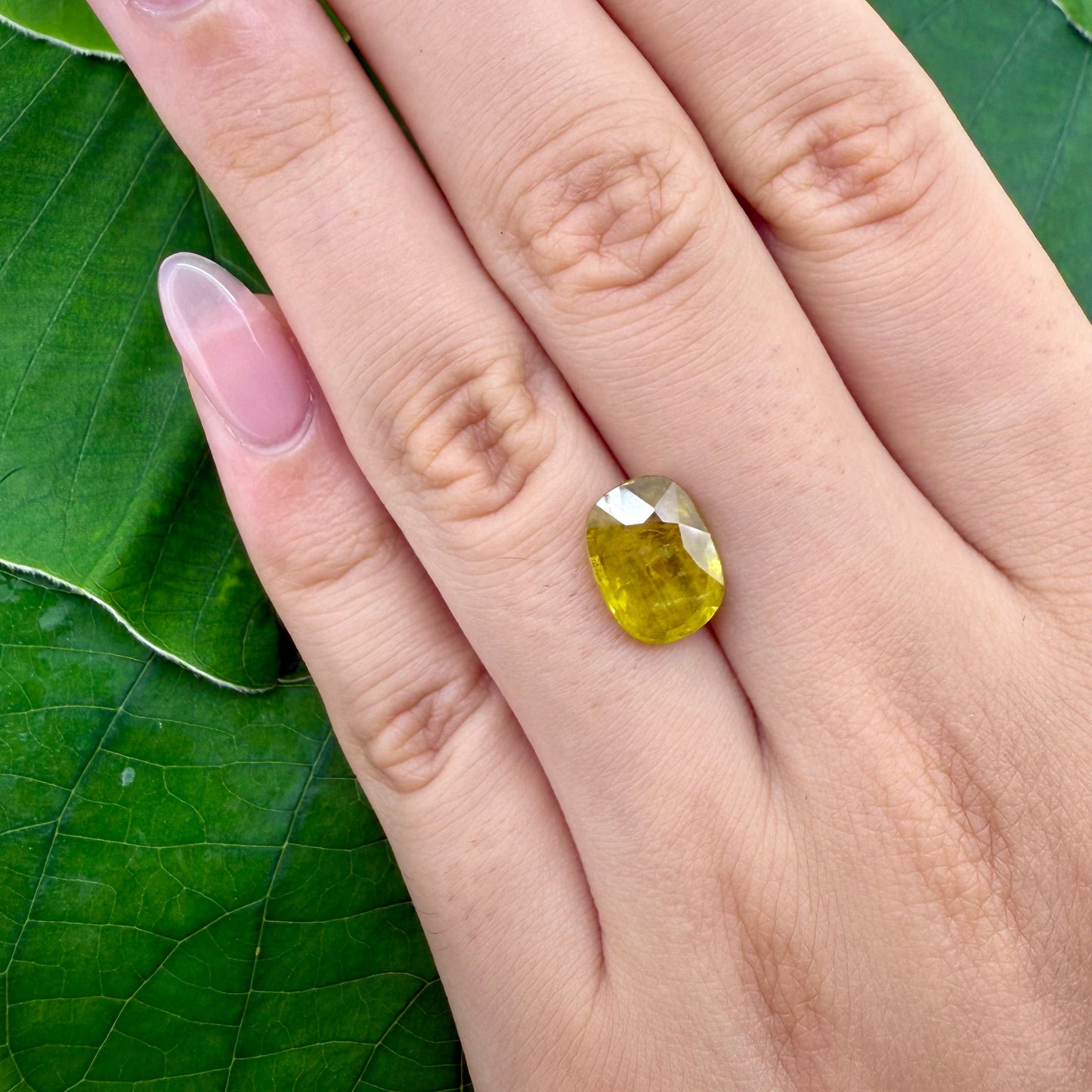 Yellow Sapphire Cushion 3.91 Ct