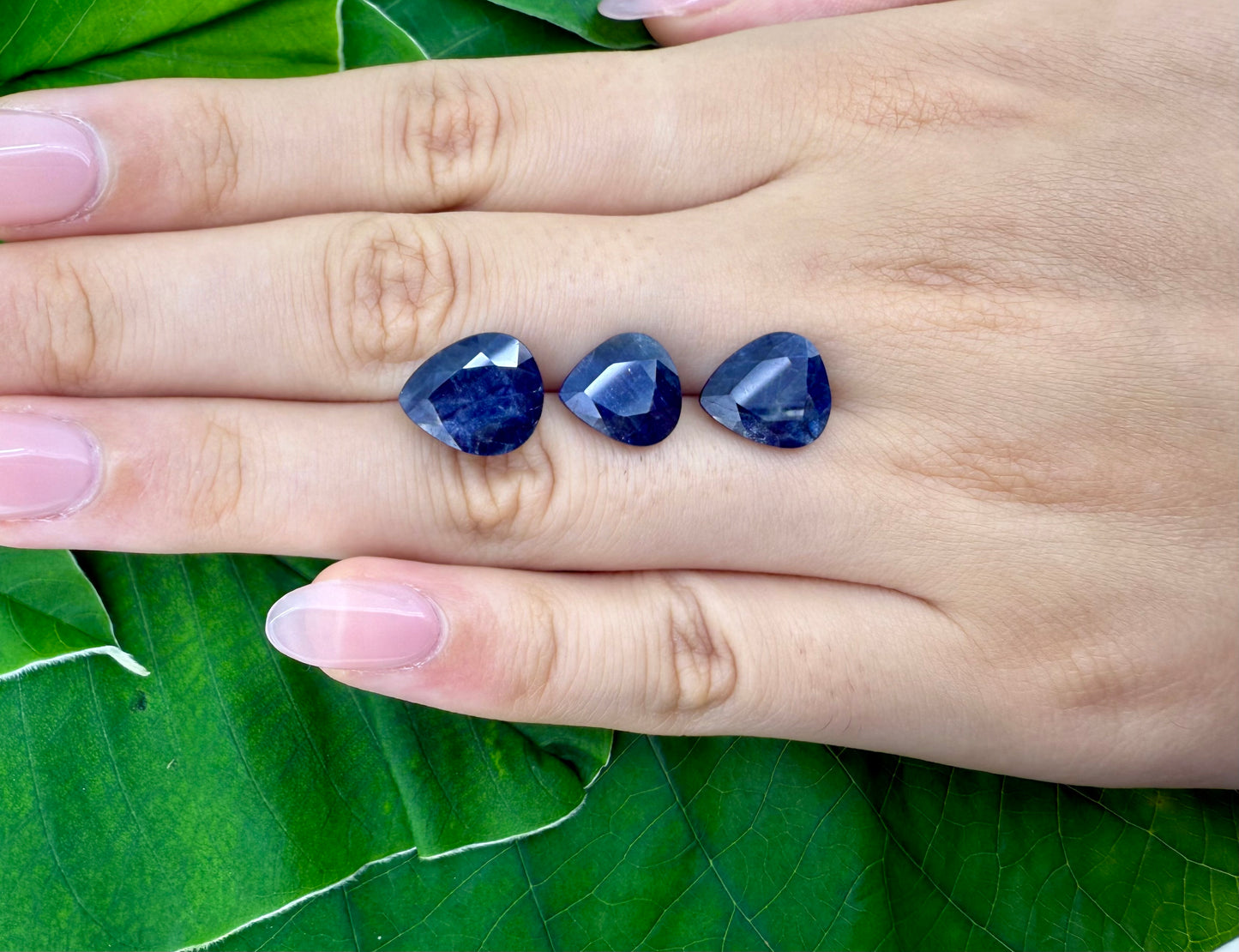 Very Dark Blue Sapphire Set Pear 12 Ct