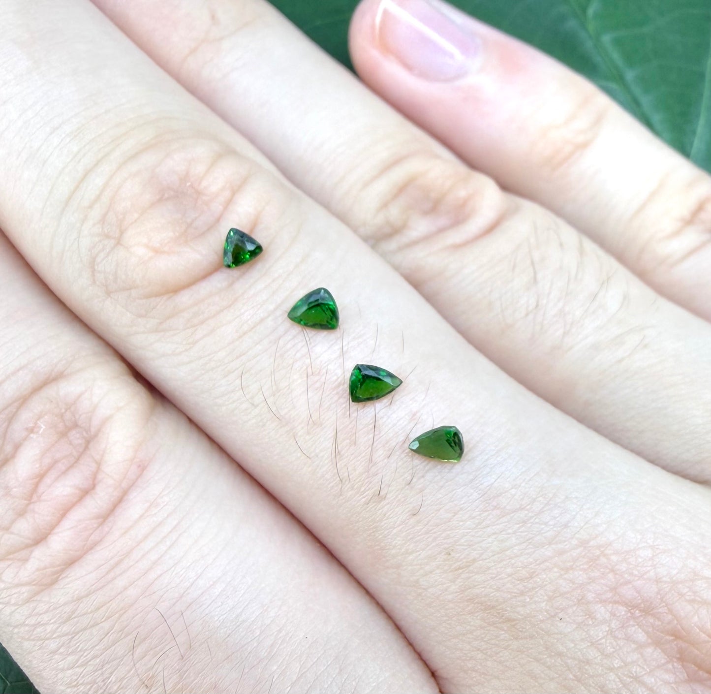 Small Diopside Lot Trillion cut 0.54 Ct