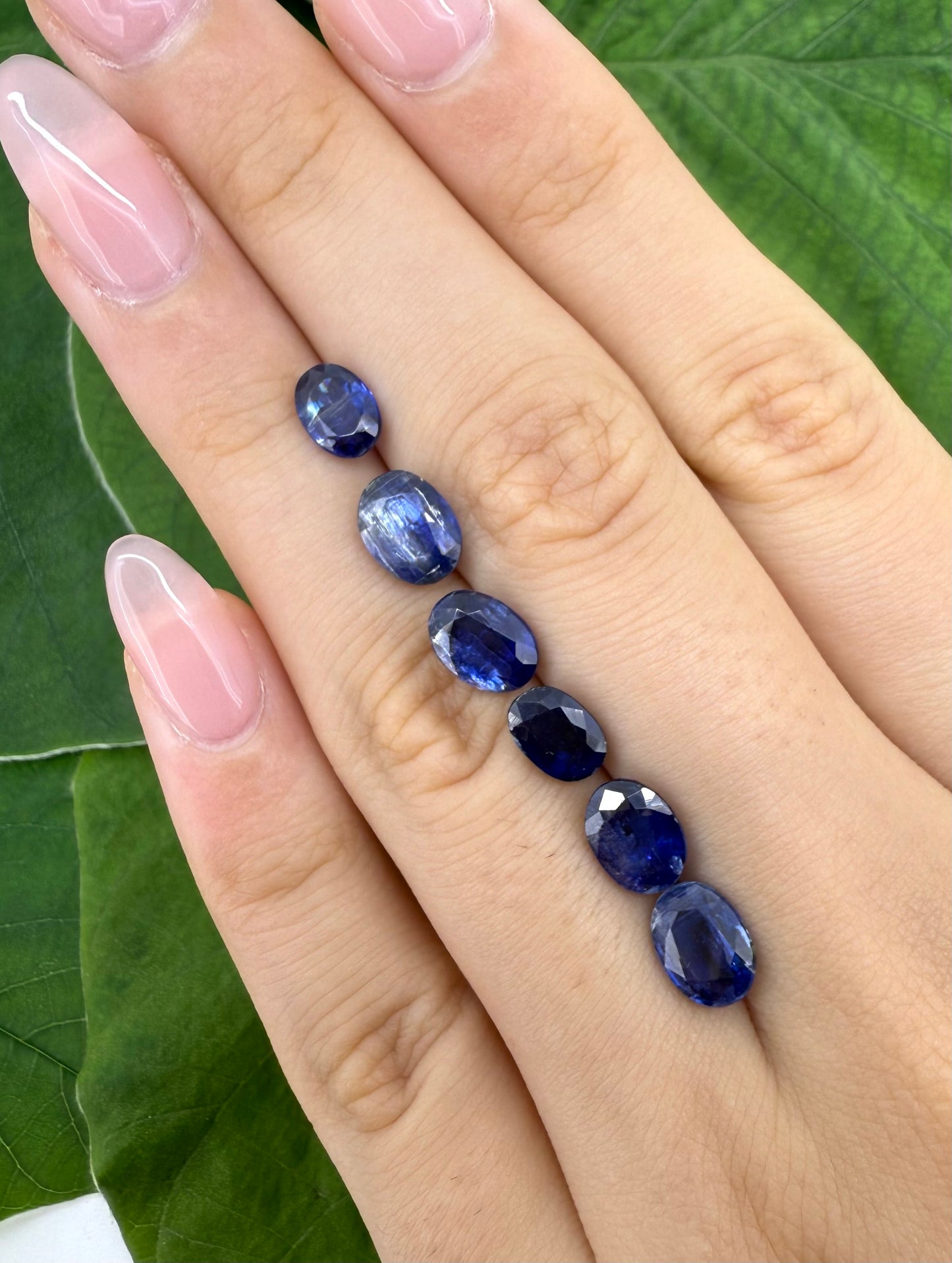 Royal Blue Kyanite Lot Oval 9.97 Ct
