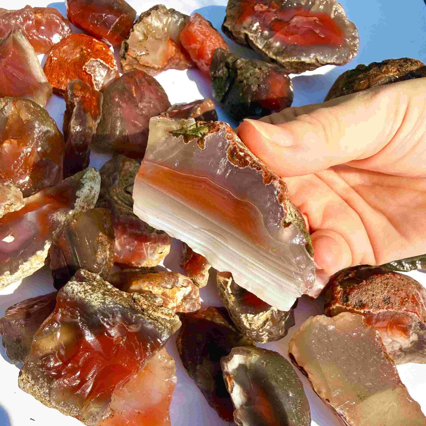 Beautiful, Rough, and uncut chalcedony carnelian lot in natural, red-orange tones, untreated raw gemstones.