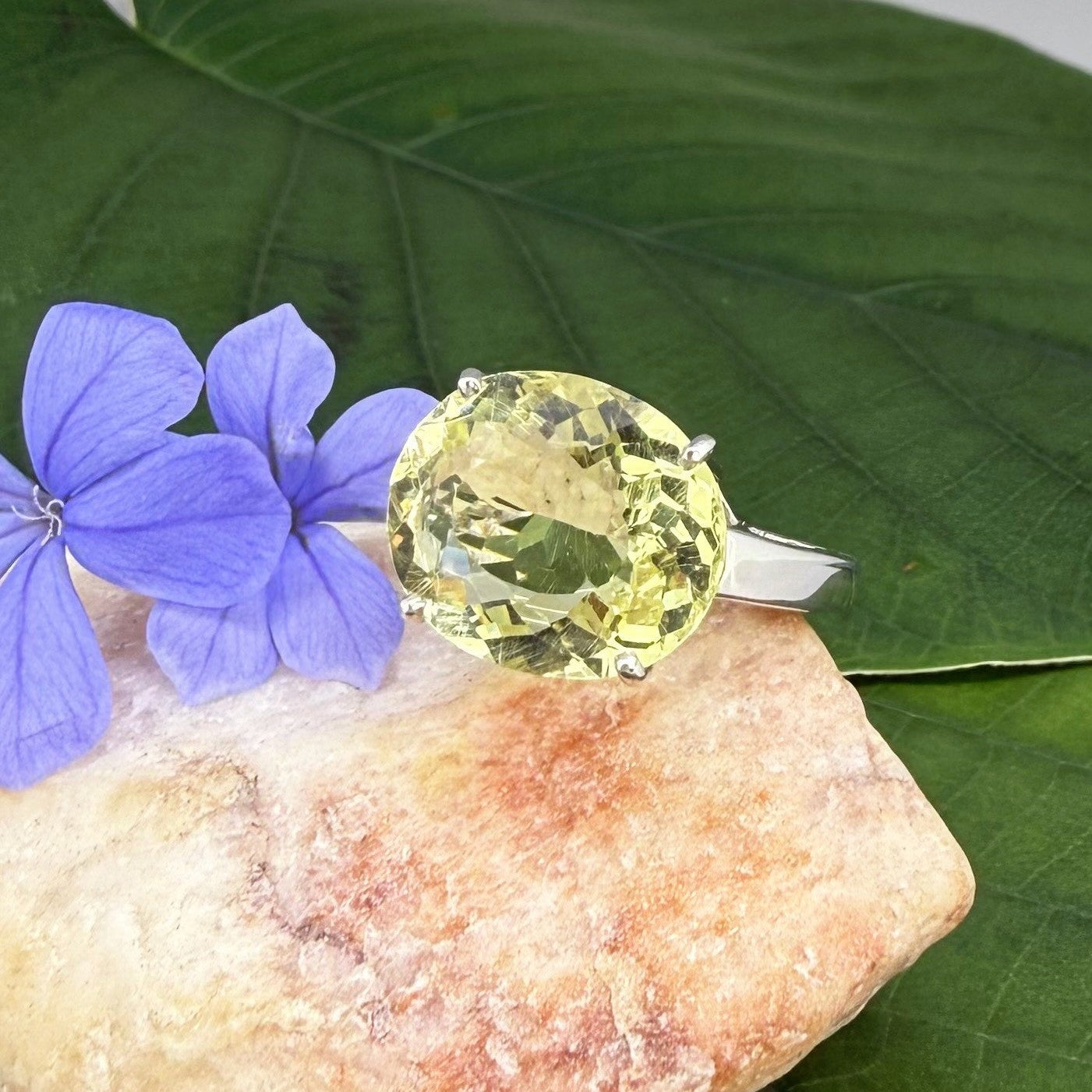 Lemon quartz solitaire ring in white gold plated sterling silver, featuring a large faceted yellow-green gemstone, bold and elegant design.