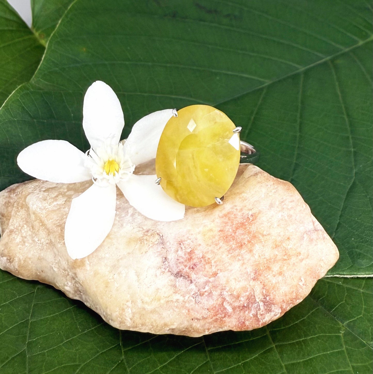 Yellow opal ring in white gold plated sterling silver, featuring a smooth natural gemstone with soft glow, elegant and refined design.