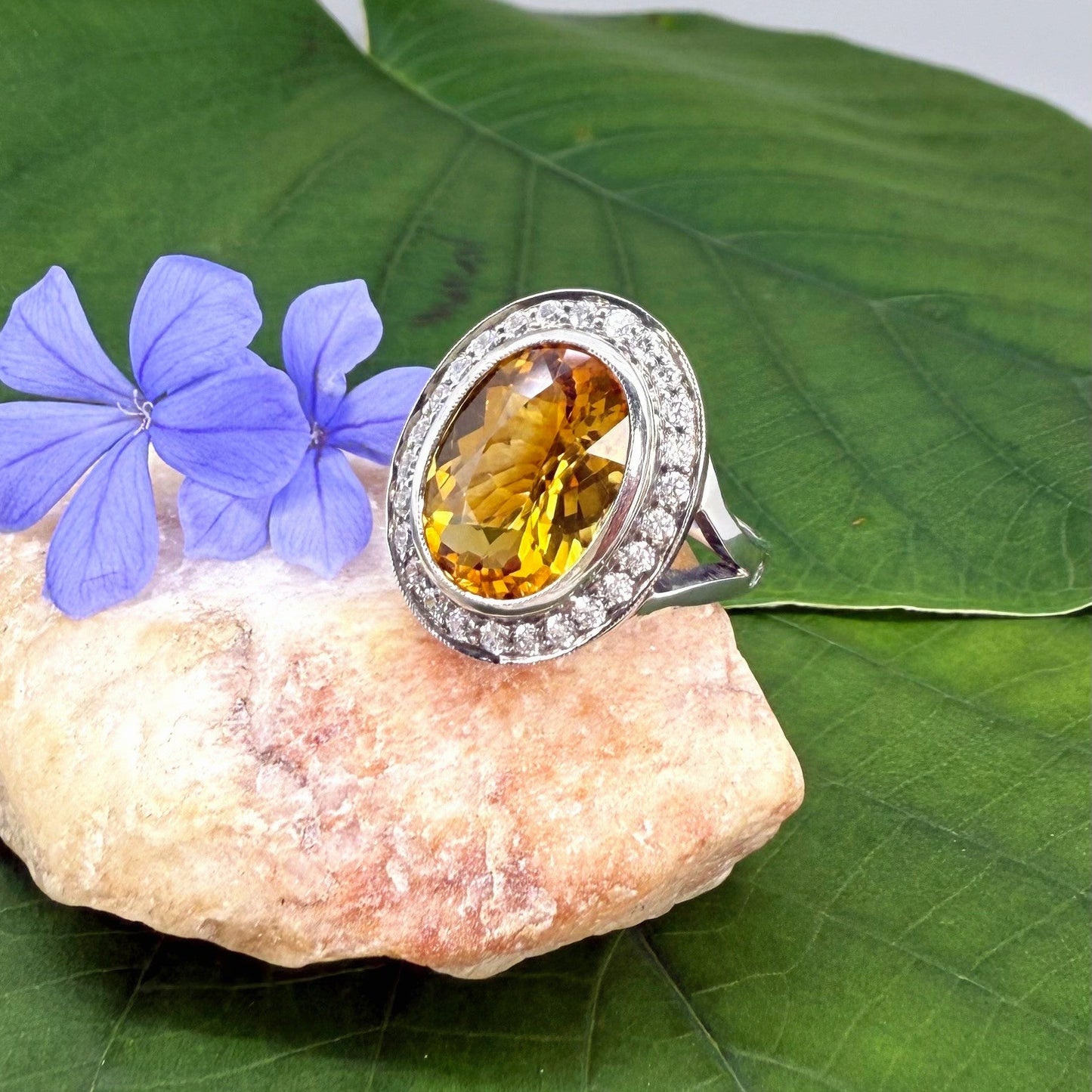 Citrine and CZ ring in white gold plated sterling silver, featuring a faceted golden-yellow gemstone surrounded by clear cubic zirconia halo, elegant and bright design.