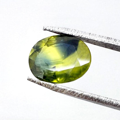 Bi-Color (Yellow Blue) Sapphire Oval 2 Ct