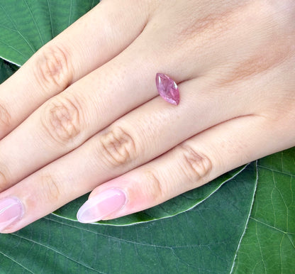 Pink Sapphire Marquise 1.3 Ct