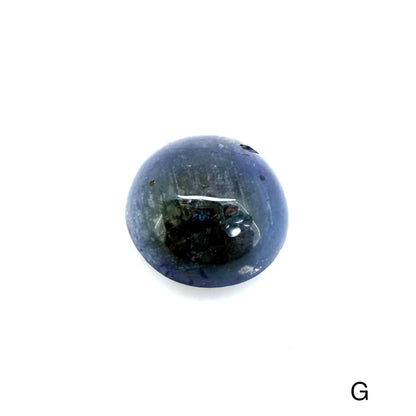 Bi-Color (vibrant Blue Moss Green) Sapphire Lot Cabochon 156.14 Ct