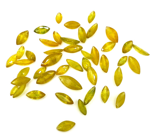 Bi-Color (Yellow Green) Sapphire Marquise Lot 52.2 Ct