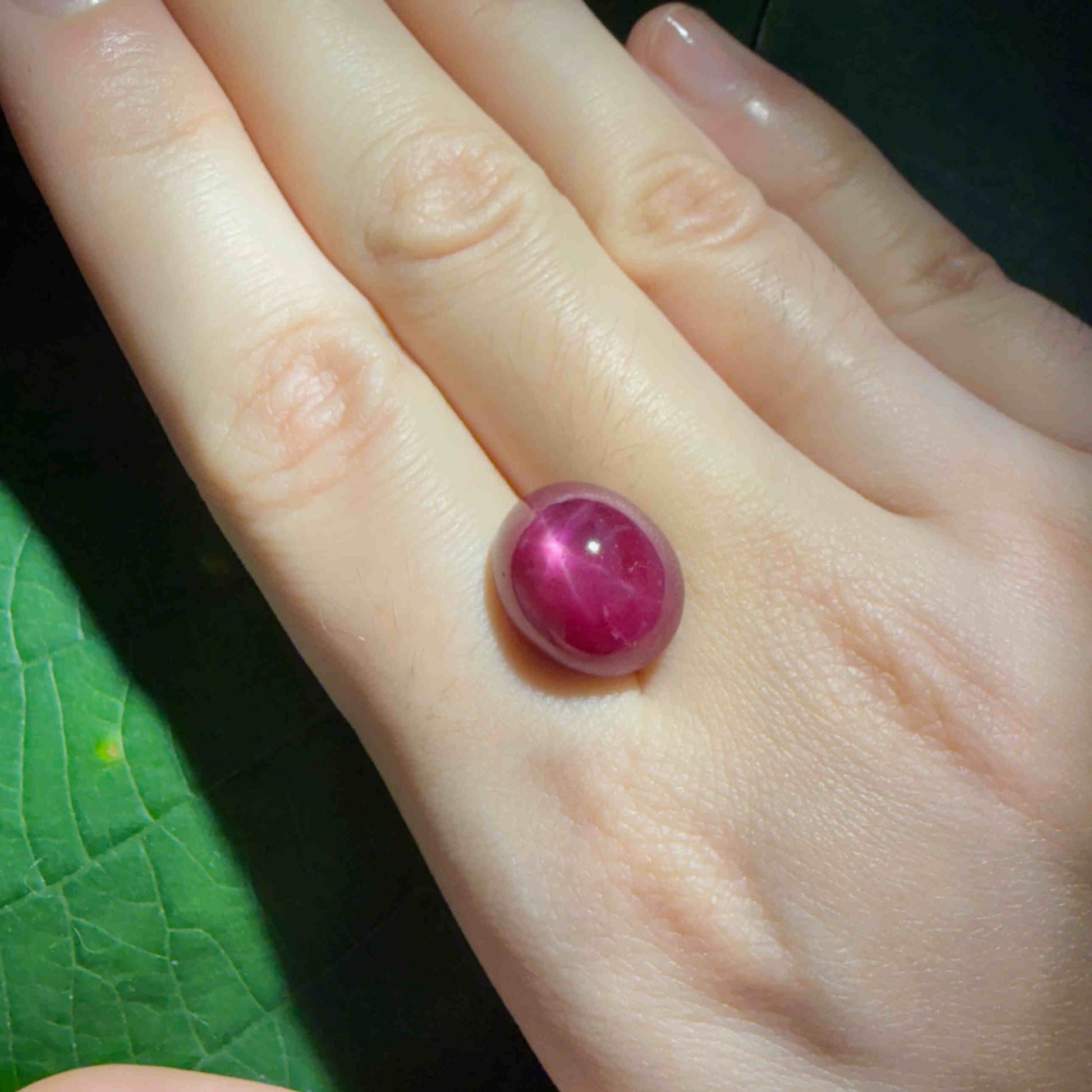 12.9 ct natural Star Ruby cabochon in deep pink-red with subtle star effect, polished dome and Mozambique origin.