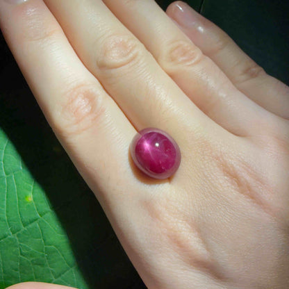 12.9 ct natural Star Ruby cabochon in deep pink-red with subtle star effect, polished dome and Mozambique origin.