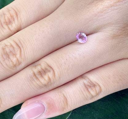 Pink Sapphire Oval 0.51 Ct
