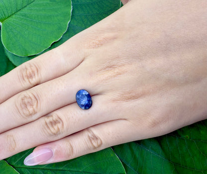 Dark Blue Sapphire ‘Stardust’ Oval 3.1 Ct