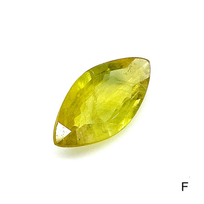 Bi-Color (Yellow Green) Sapphire Marquise Lot 52.2 Ct