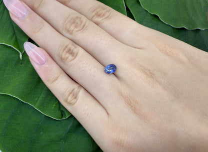 Pale Blue Hues Sapphire "Snow Landscape" Oval 0.84 Ct