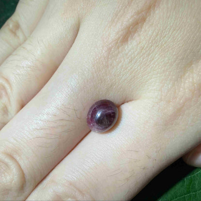 3.13 ct natural pinkish-red Star Ruby cabochon with soft star effect and polished dome.