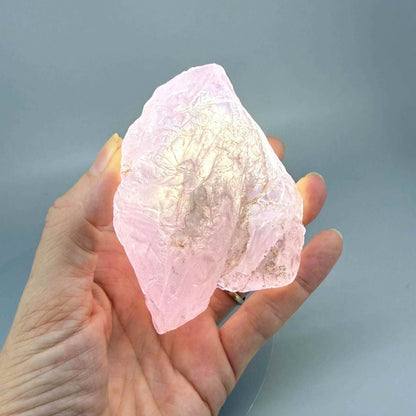 Natural rose quartz rough stone, translucent untreated pink quartz in raw form photographed in natural light