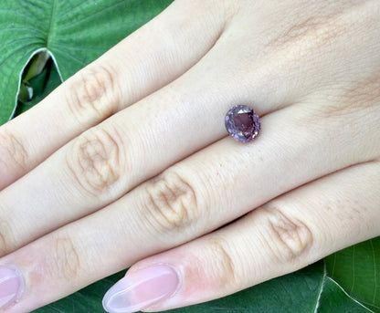 Rosé Spinel Oval 1.55 Ct