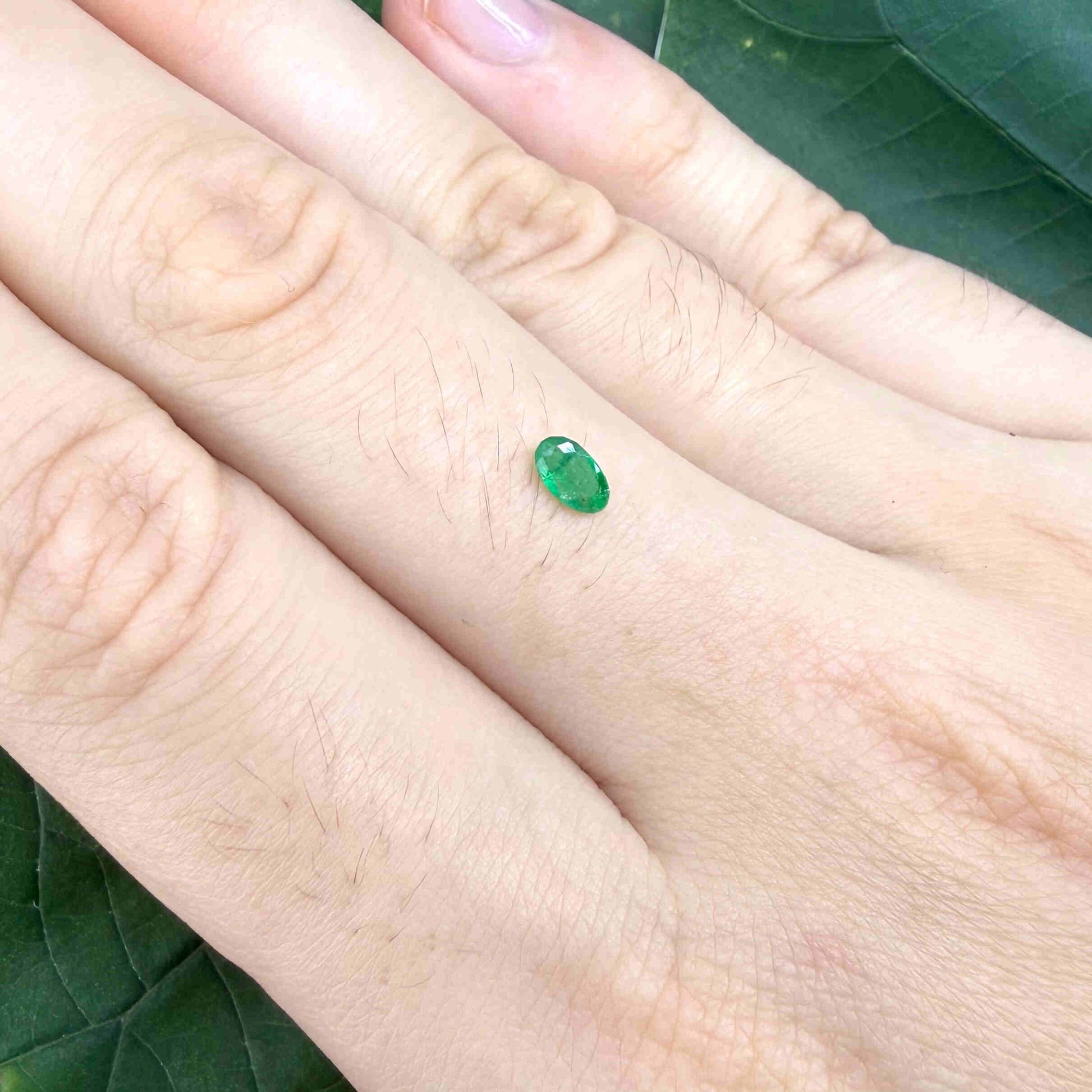 0.18 ct natural untreated Zambian emerald, oval faceted with vivid bluish-green color.