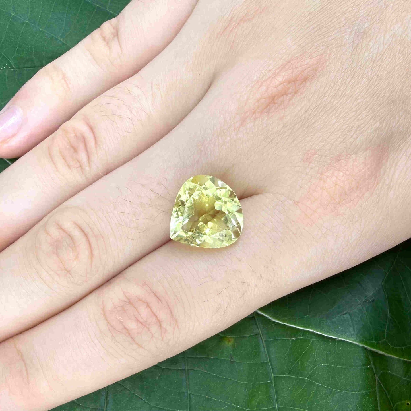 Lemon Quartz Trillion cut 8 Ct