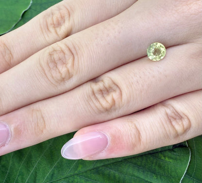 Green-Yellow Prasiolite Round 1.01 Ct