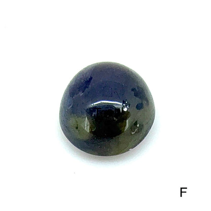 Bi-Color (vibrant Blue Moss Green) Sapphire Lot Cabochon 156.14 Ct