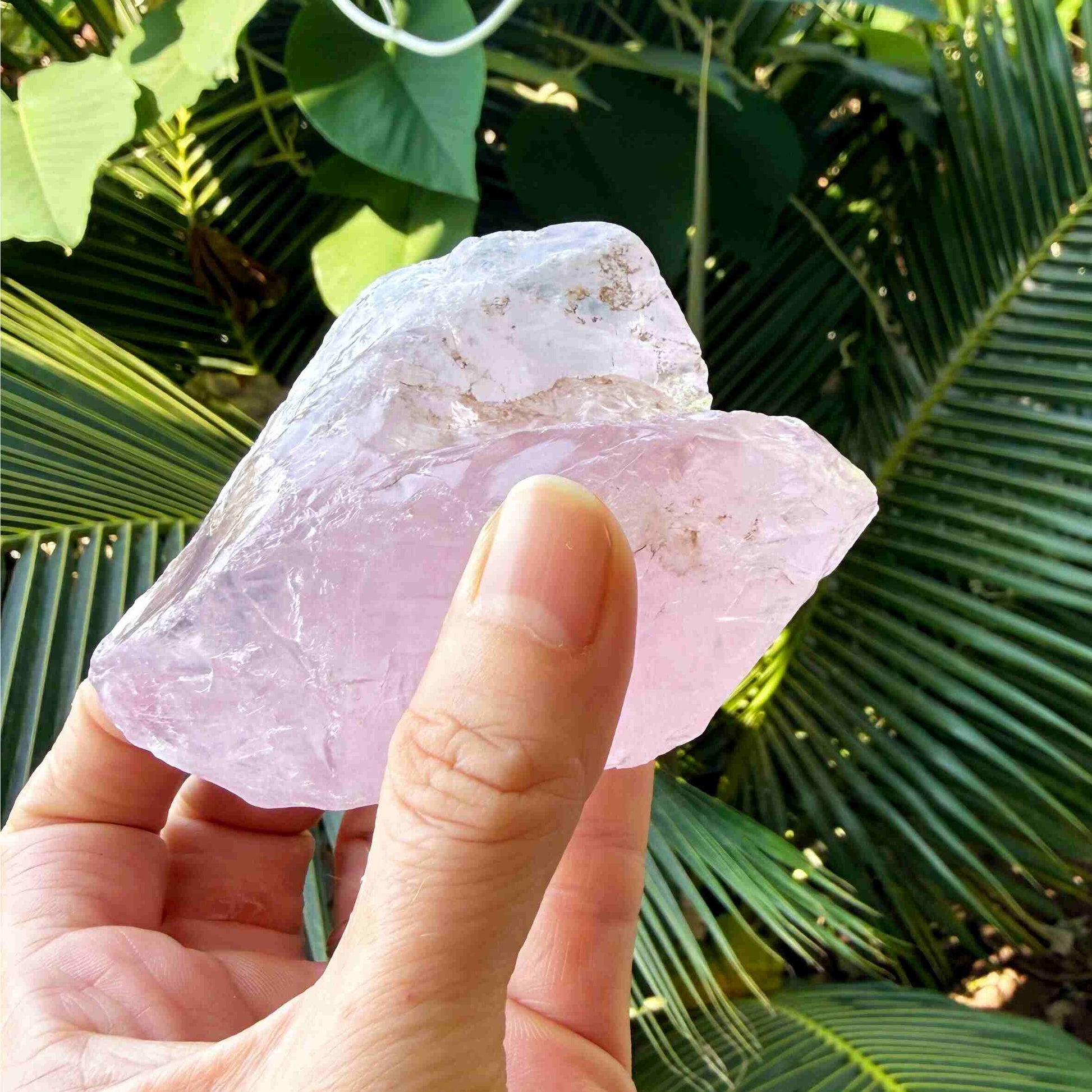 Natural rose quartz rough stone, translucent untreated pink quartz in raw form photographed in natural light